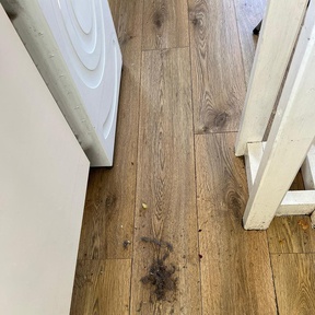 University Accommodation Cleaning Peterculkter